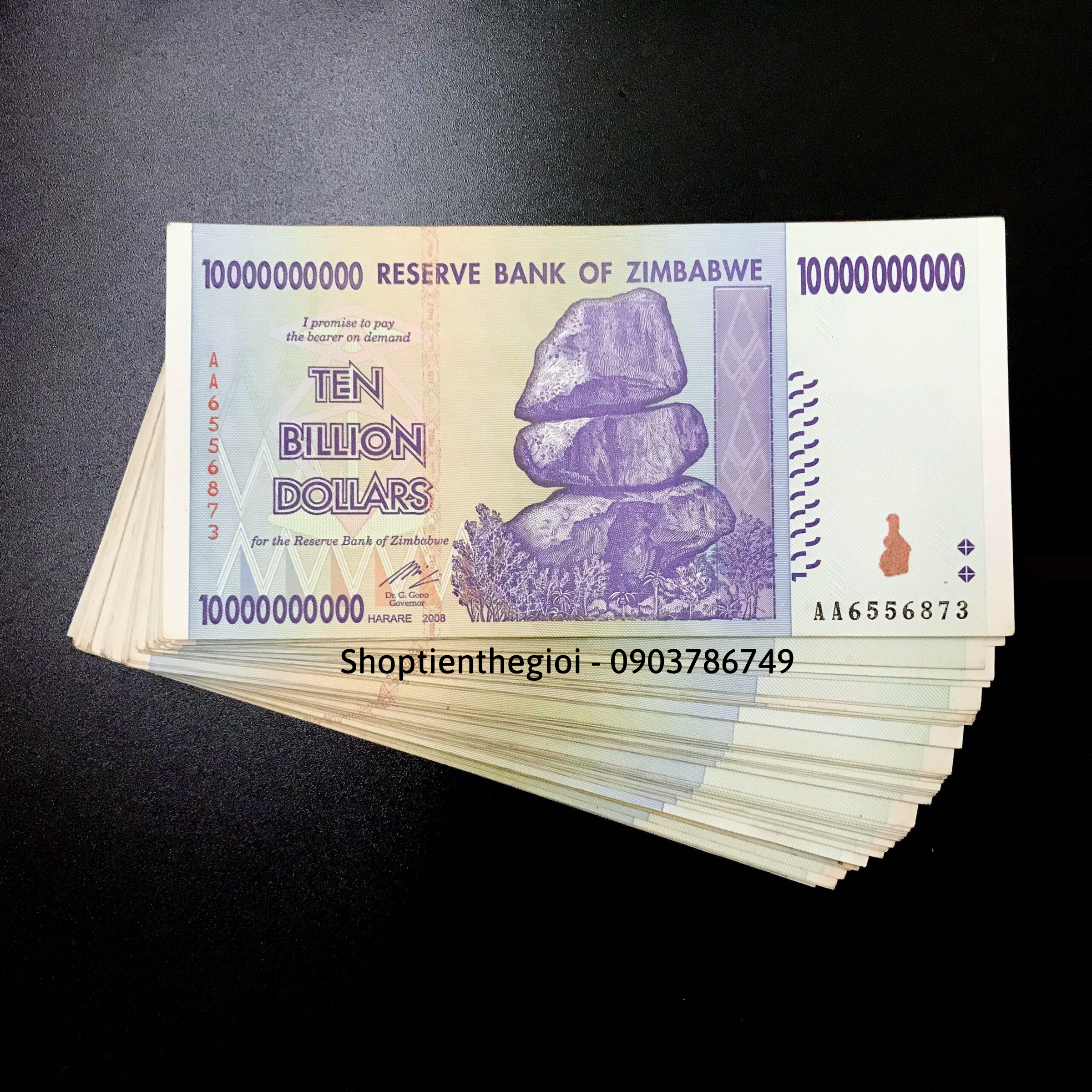 Sỉ 100 Tờ Zimbabwe 10 tỷ Dollar 2008 - TT000463