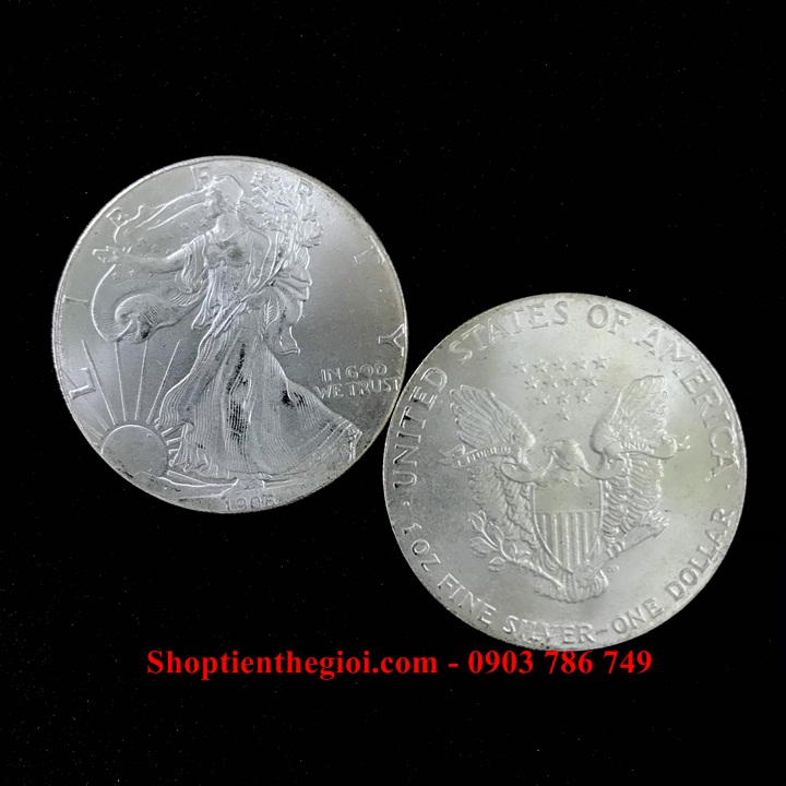 Xu Mỹ - USA 1 Dollar Liberty 1906 (FAKE) - SP005318