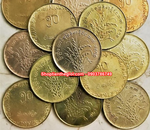 Xu Myanmar các loại