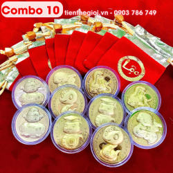 Combo 10 Đồng Xu Hình Con Rắn CUTE Tặng Túi Gấm Lộc - SP005930