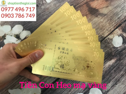 Heo mạ vàng 1