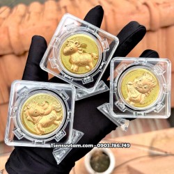 Khung Xoay Miếng Đồng Xu Con Ngựa Cute 2026 - SP008292