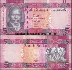 Nam Sudan 5 Pound 2011 UNC