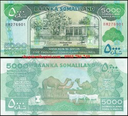 Somaliland 5000 Shillings 2015 UNC