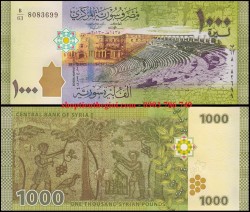 Syria 1000 pounds 2013 UNC - SP000108