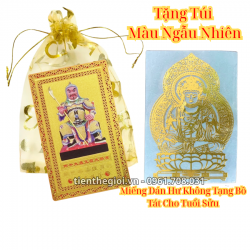 Túi Kim Bài Thái Tuế Năm Ngọ 2026 Kèm Miếng Dán Hư Không Tạng Bồ Tát Cho Tuổi Sửu