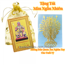 Túi Kim Bài Thái Tuế Năm Ngọ 2026 Kèm Miếng Dán Quan Âm Nghìn Tay Cho Tuổi Tý