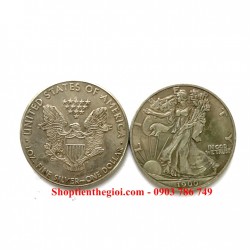 Xu Mỹ - USA 1 Dollar Liberty 1900 (FAKE) - SP005320