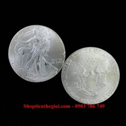 Xu Mỹ - USA 1 Dollar Liberty 1906 (FAKE) - SP005318